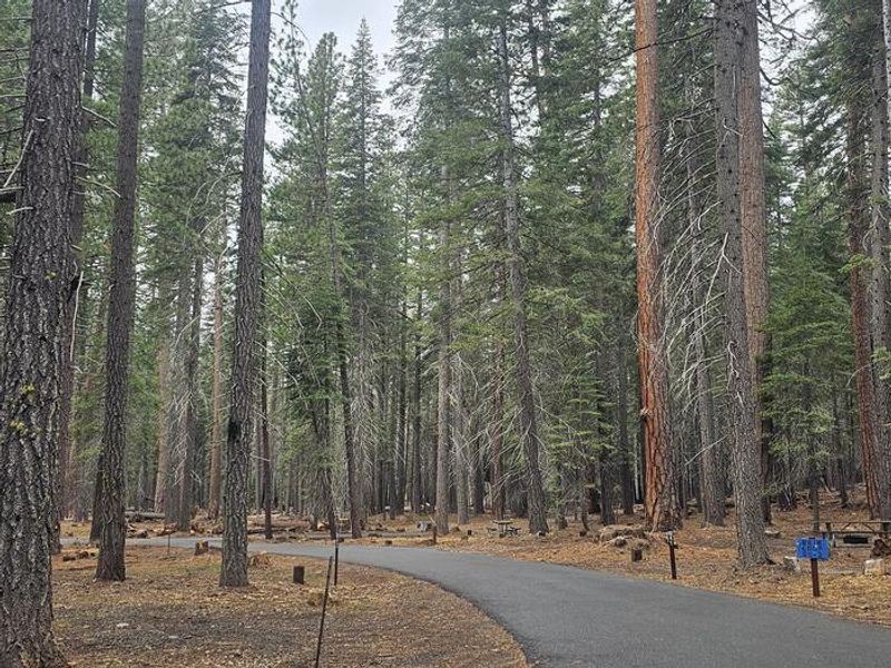 Gurnsey Creek Campground