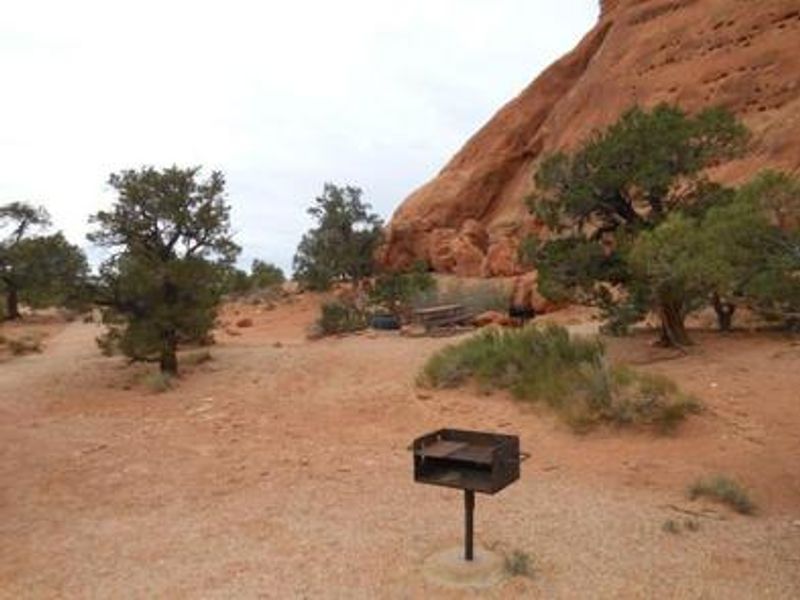 Windwhistle Group Site (3)