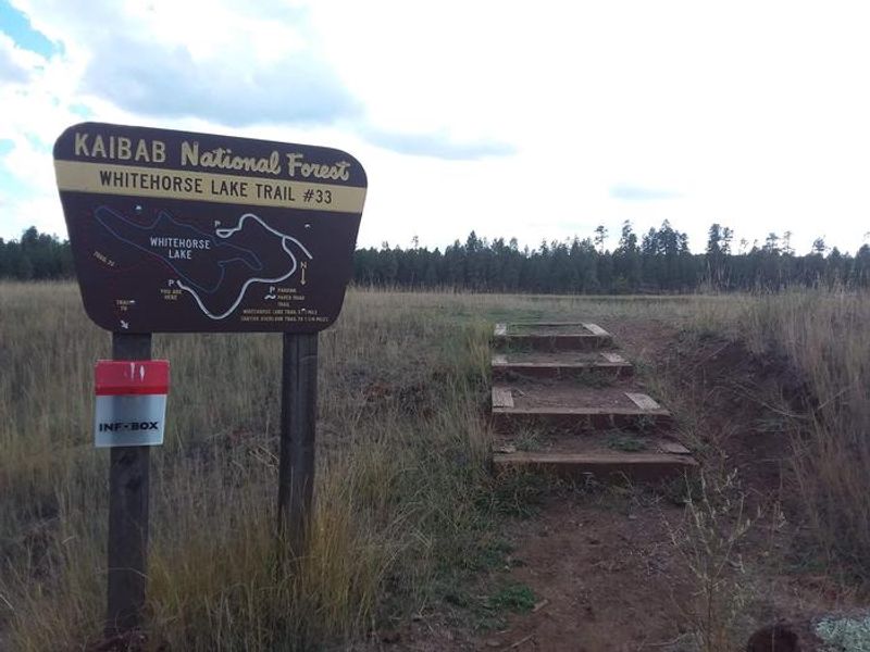 Whitehorse lake trail