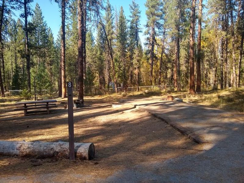 Site 8 at Grayback Gulch.