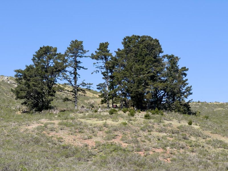 Full view of Hawk Campground