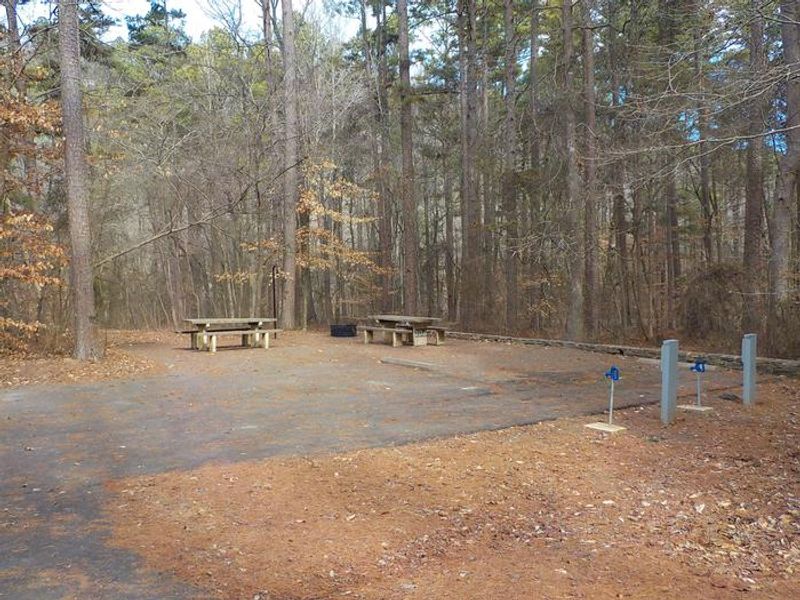 Loop C - Typical Double Site