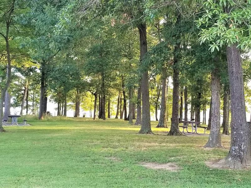 Picnic Area, South Marcum Day Use