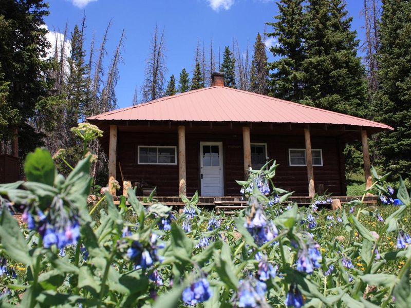 Little Brooklyn Lake Guard