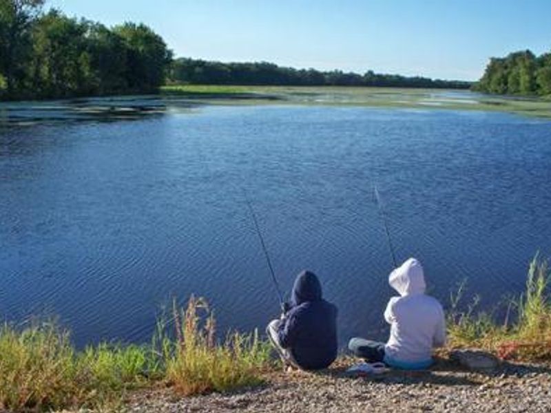 Thomson Causeway fishing.