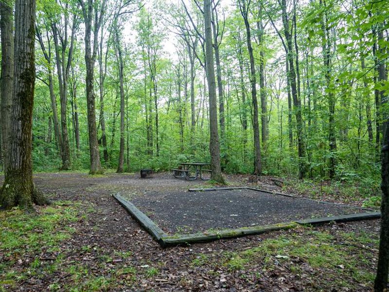 Blueberry Patch campsite