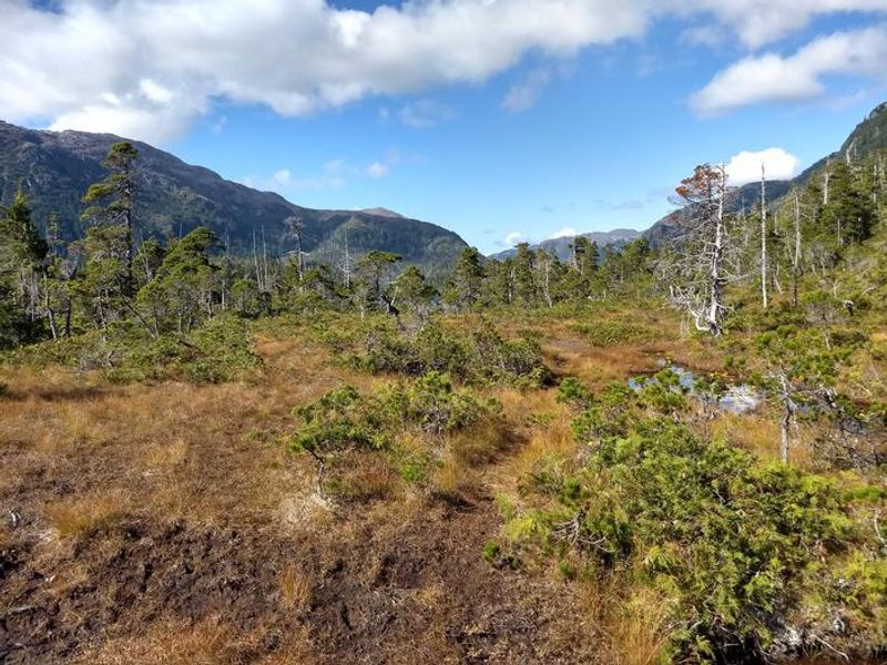 Typical trail segment