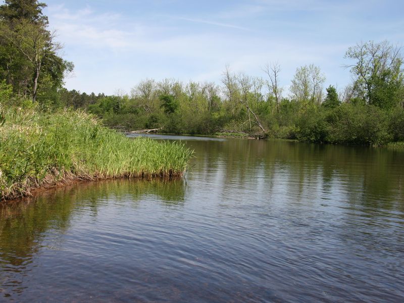 Campsite N63 offers quiet views of the Namekagon River.