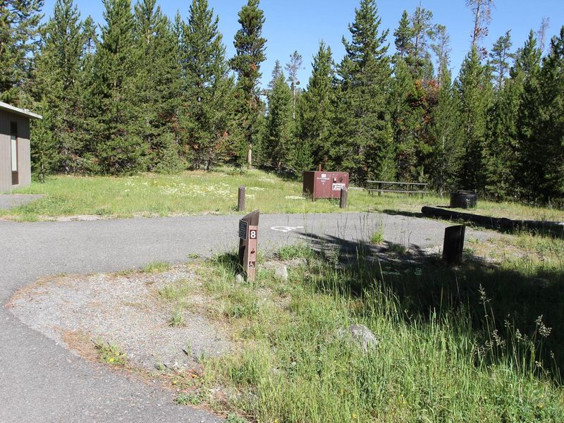 Indian Creek Campground site #8