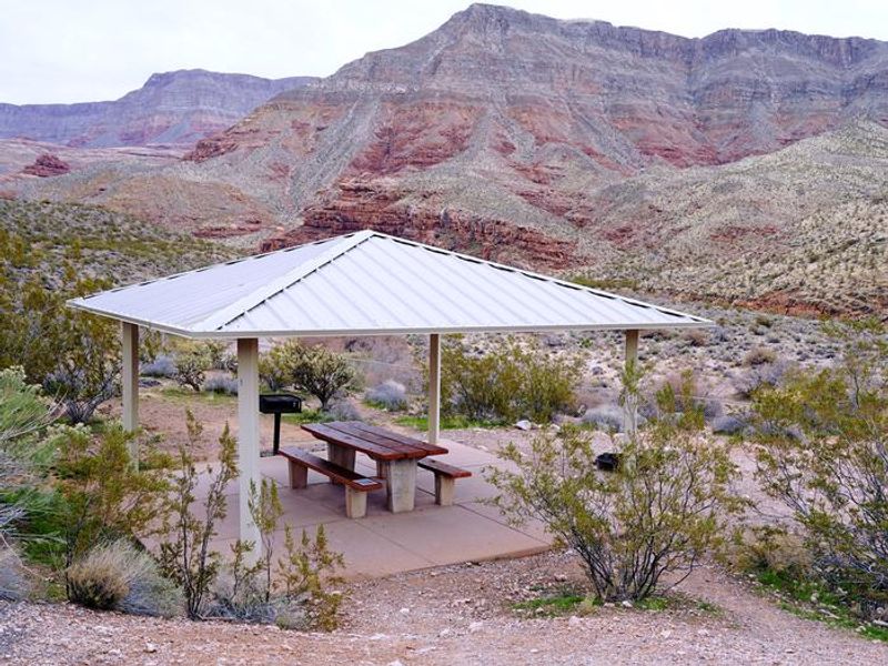 Sheltered Site with the Paiute Mountains