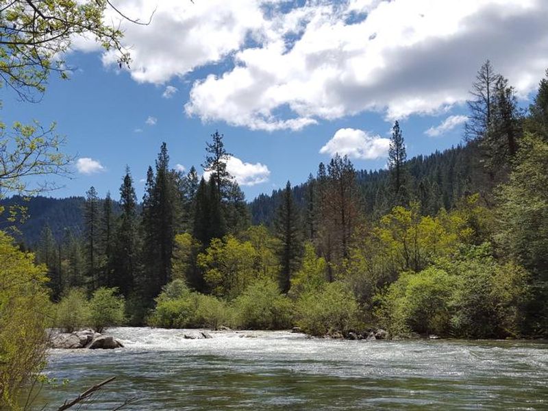 North Fork Yuba River at Fiddle Creek Campground