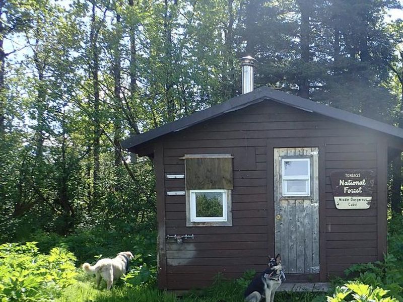 Middle Dangerous River Cabin
