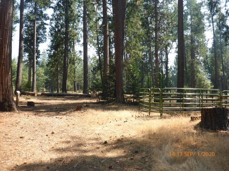Some of the horse corrals have double pens.