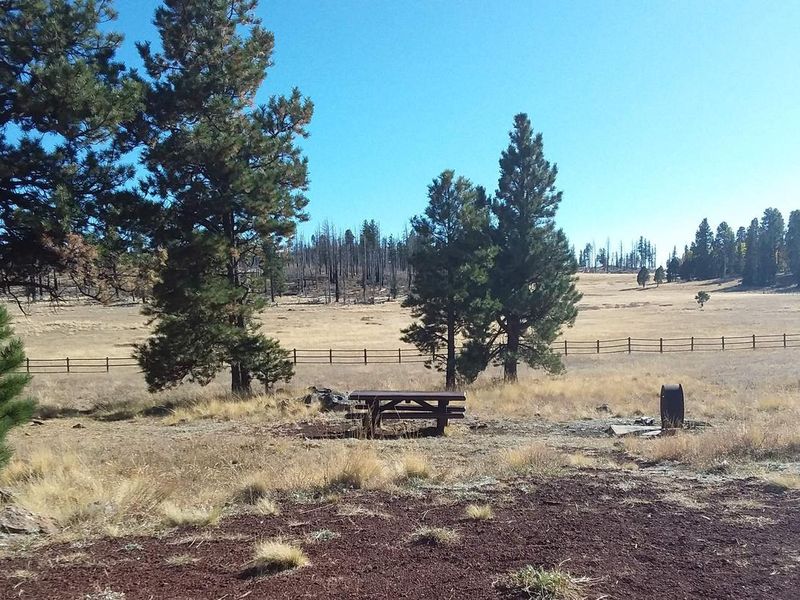 WINN Campground Site 49 