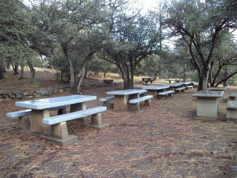 LITTLE WALNUT Picnic Area