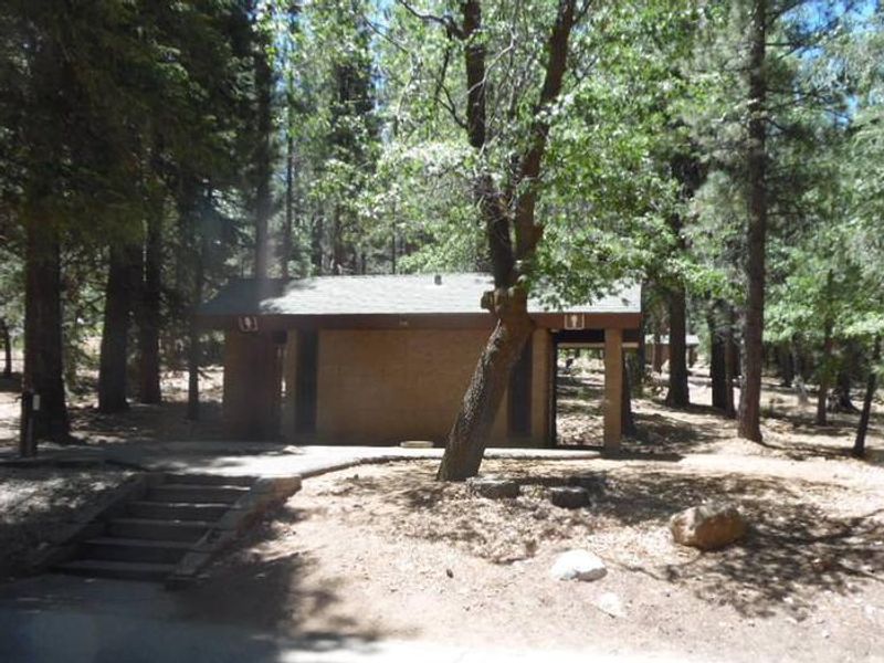 Bathroom at Pineknot 