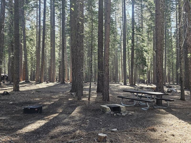 Gurnsey Creek Campground
