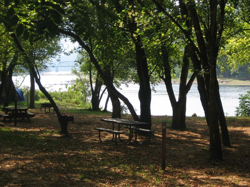 There are 6 walk-in tent only campsites next to the New River at Grandview Sandbar Campground.