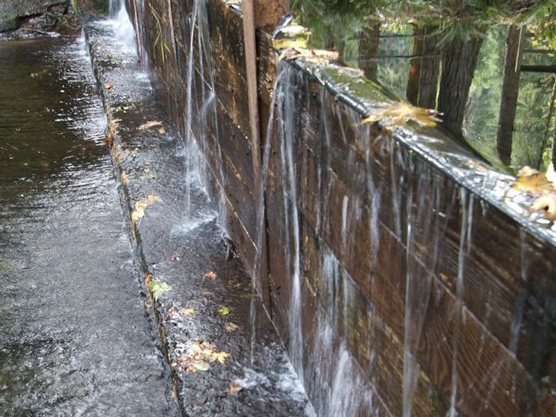 Whittaker Creek Dam. 