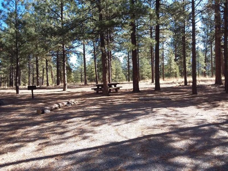 Jemez Falls Campground 