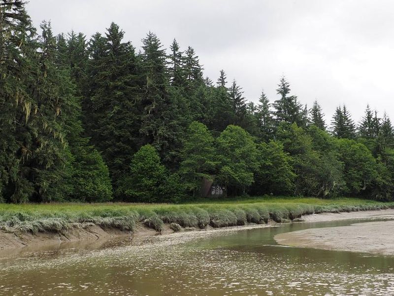 Mallard Slough leading up to the cabin