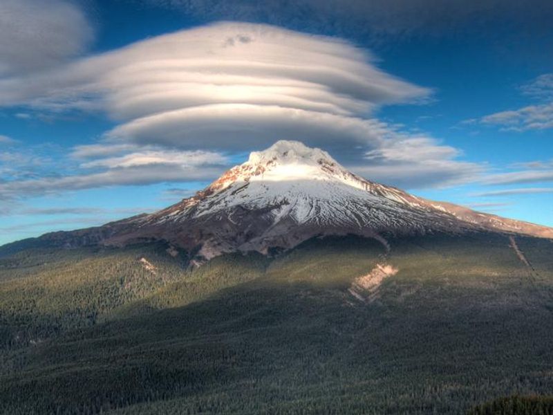 Mt. Hood National Forest