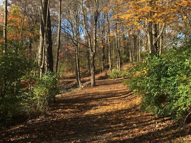 Walking trail to Olentangy River