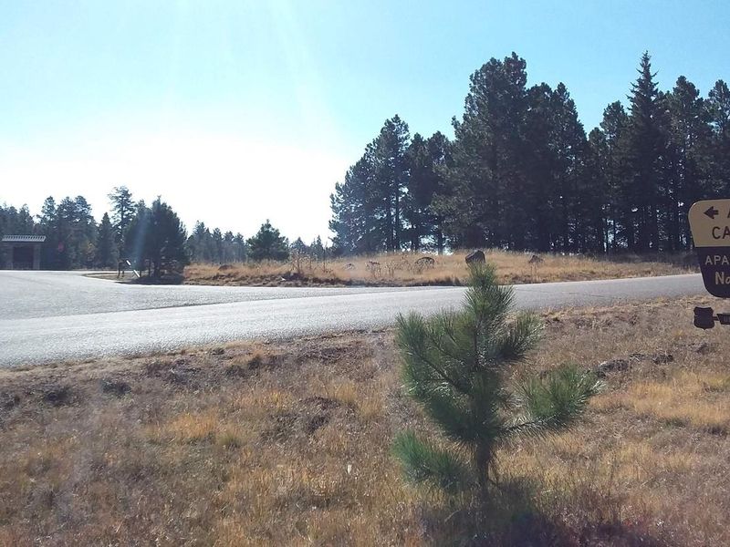 Apache Trout Campground entrance from road
