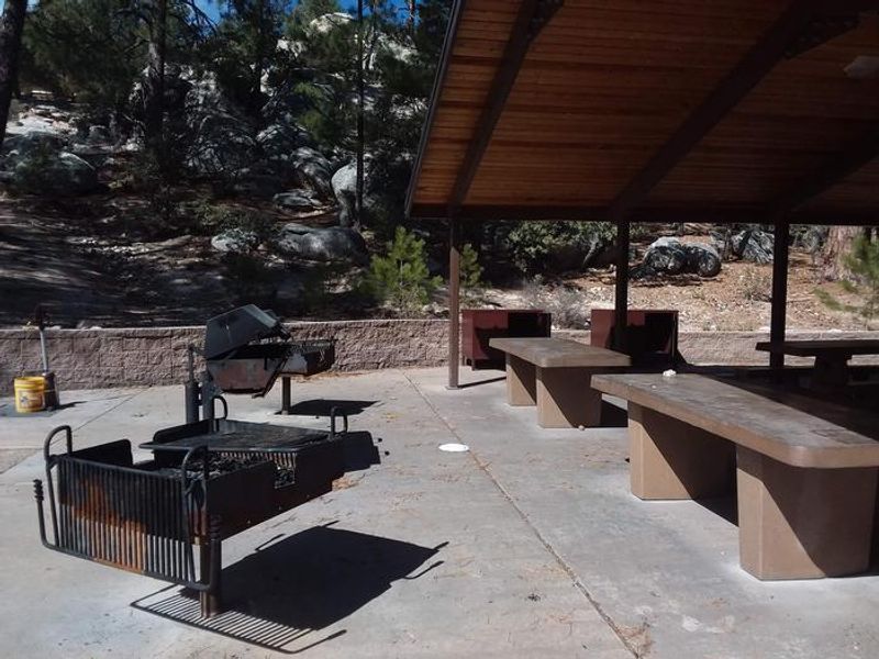 Group picnic area.