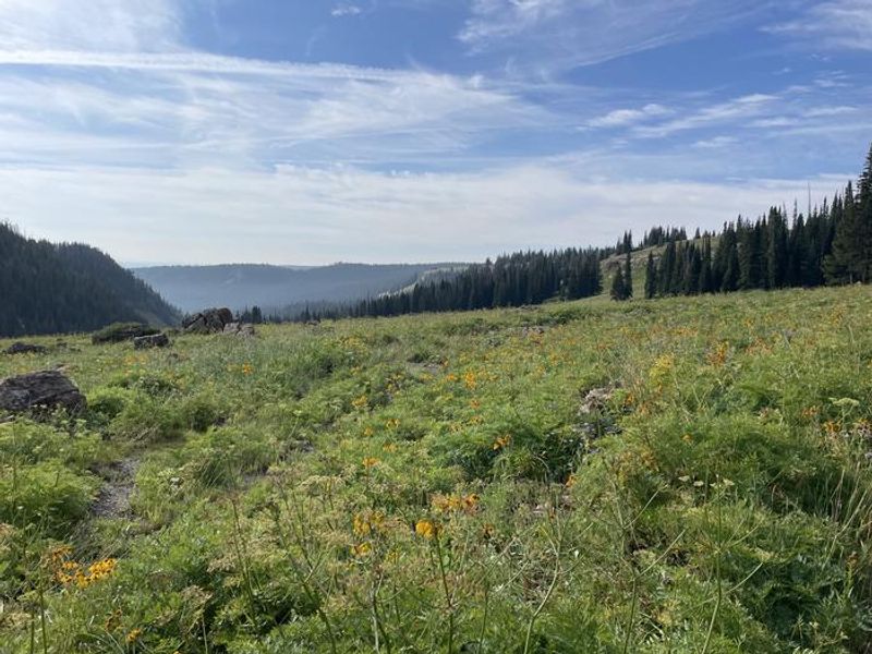 Looking down Deep Creek from Deep Lake Campground