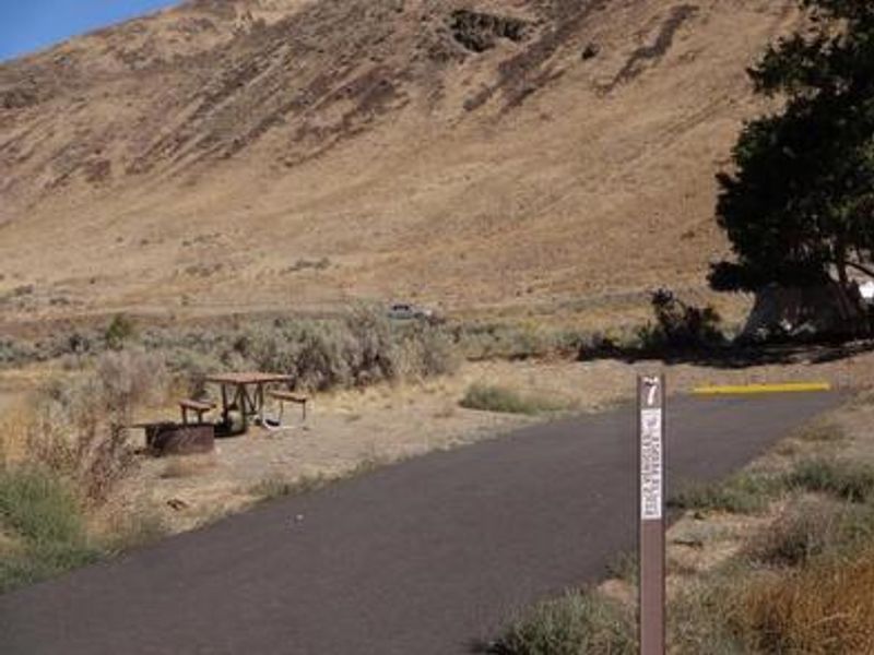 Big Pines Campsite #7