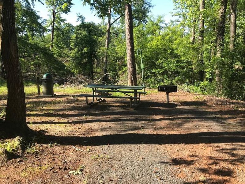 Campsite #7. Tent site with the following amenities: fire-pit, grill, picnic table, lantern pole, trash can.  Located along bayou.