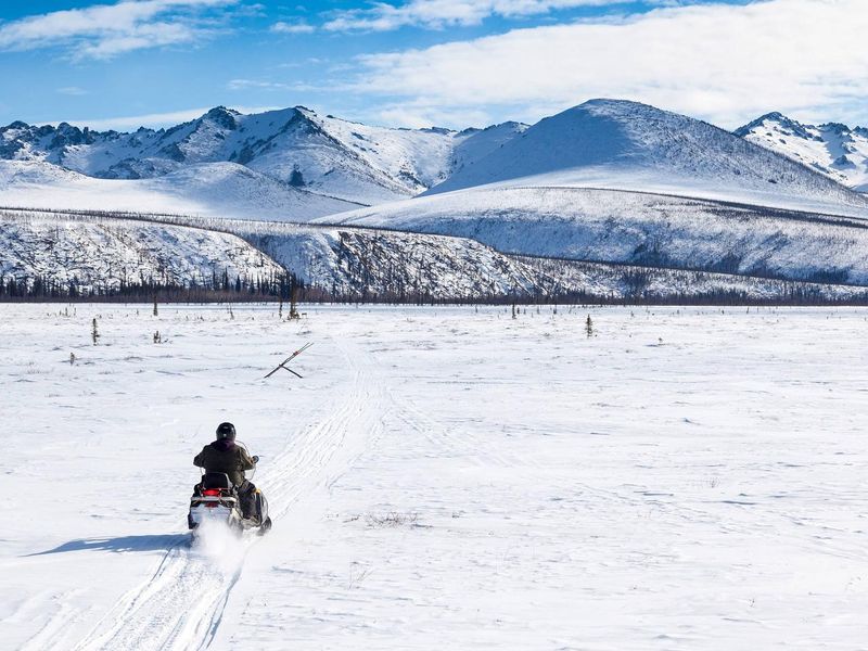 The Colorado Creek Trail brings visitors into the heart of the White Mountains.
