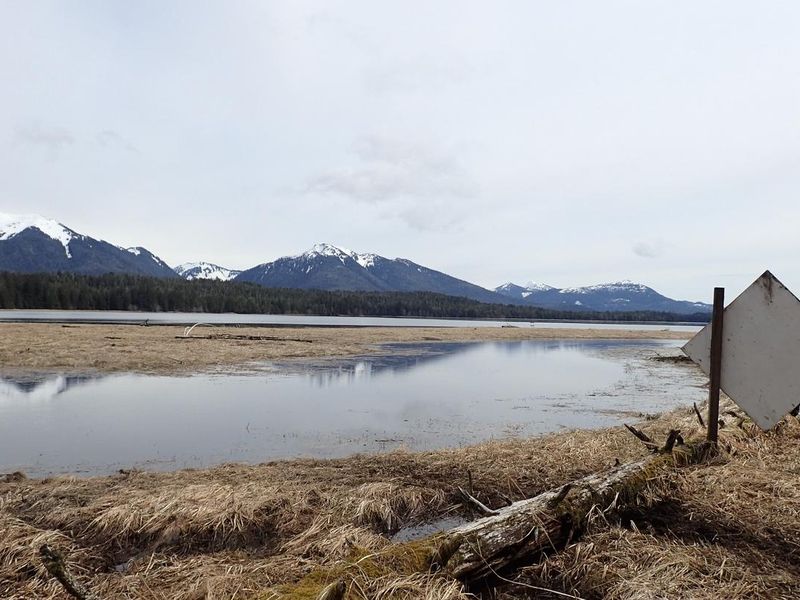 Towers Arm cabin marker high tide with log