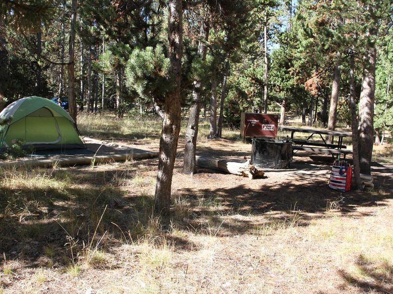 Indian Creek Campground site #38