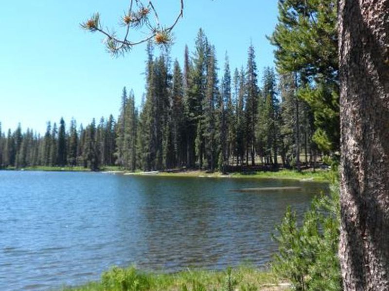 Summit Lake view near day use area
