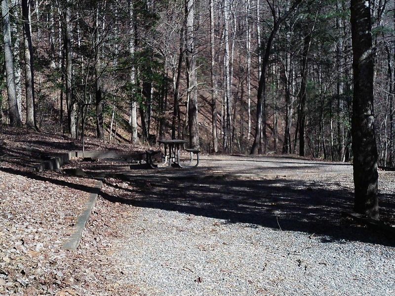 Welcome to campsite #13