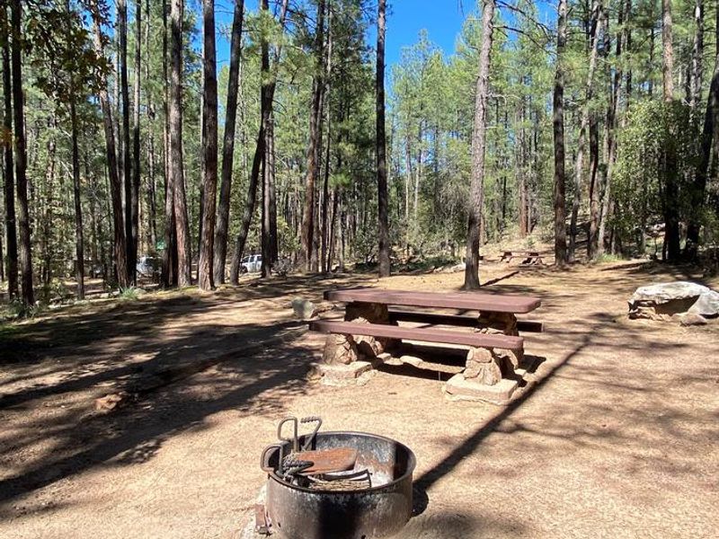 Campsite in Upper Tonto Creek Campground