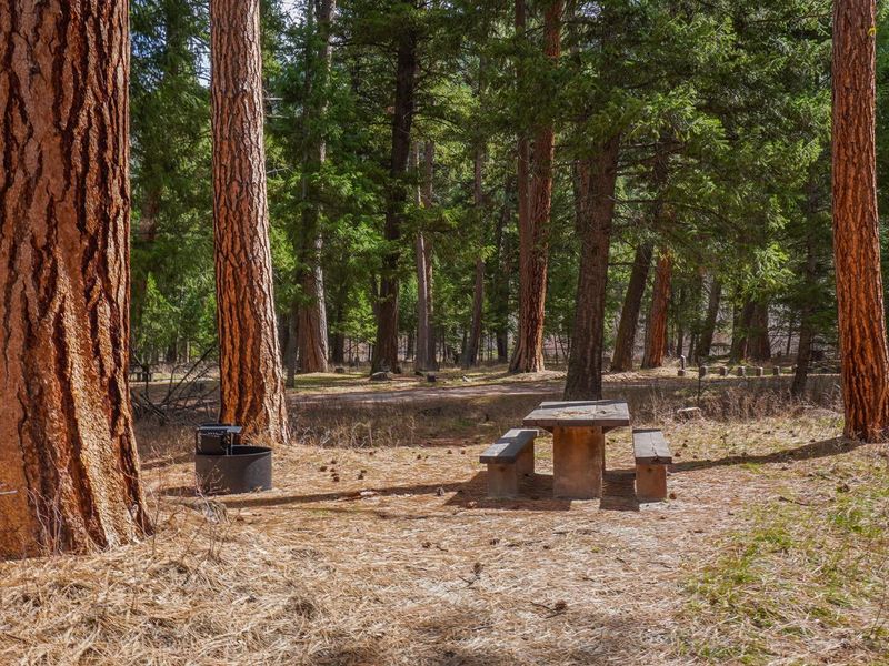 Alta Campground site
