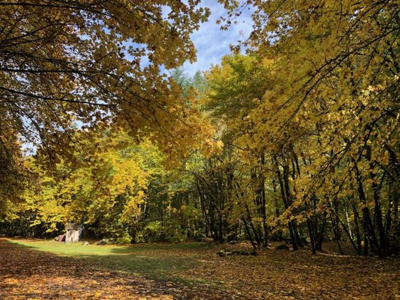 East Fork Campground