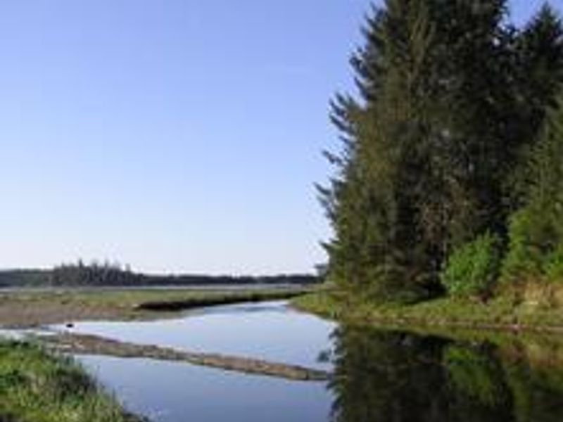 Kah Sheets Bay Cabin