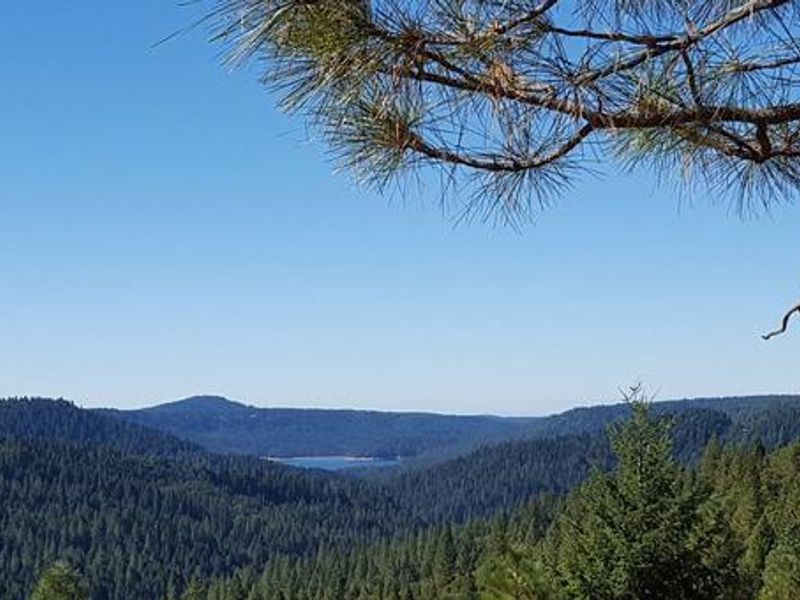 Pioneer Trail near Skillman