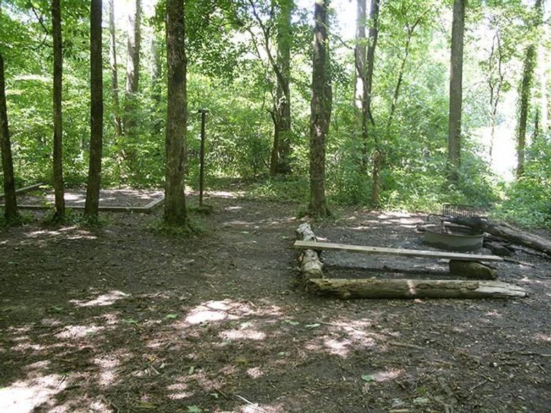 First Creek 2 Campsite