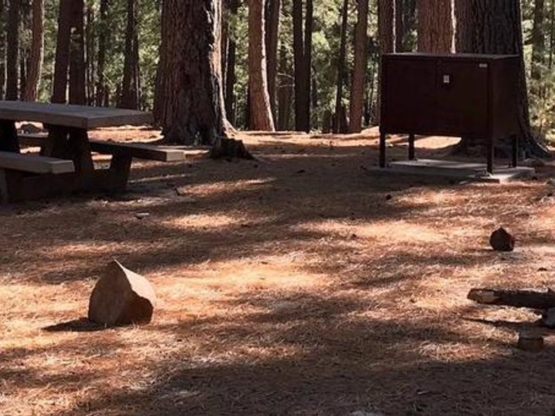 Upper Twilight Group Site