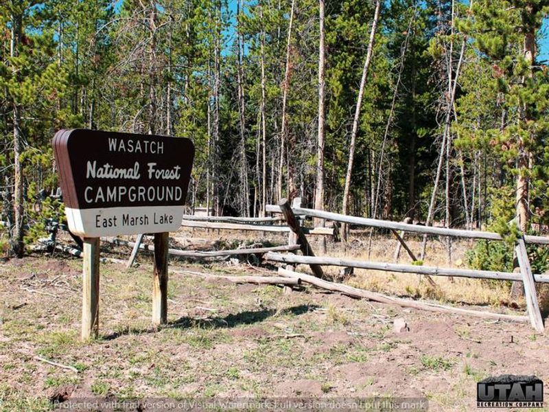 Marsh Lake Campground