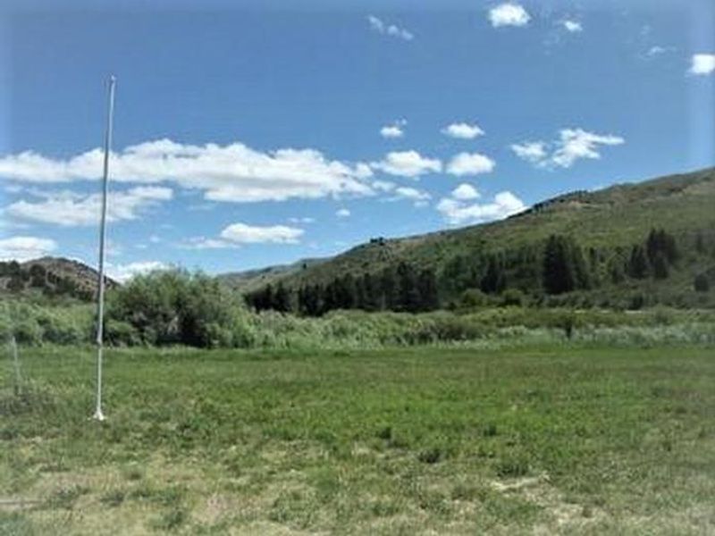 A grassy field at Mink Creek Group Site