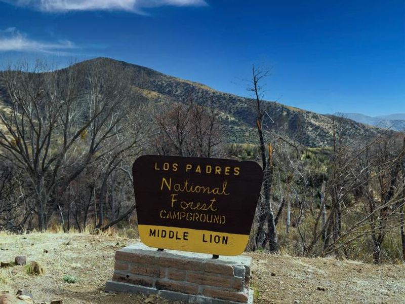 MIDDLE LION CAMPGROUND