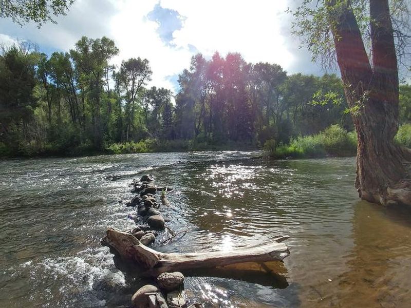 Conejos River from Mogote Campground