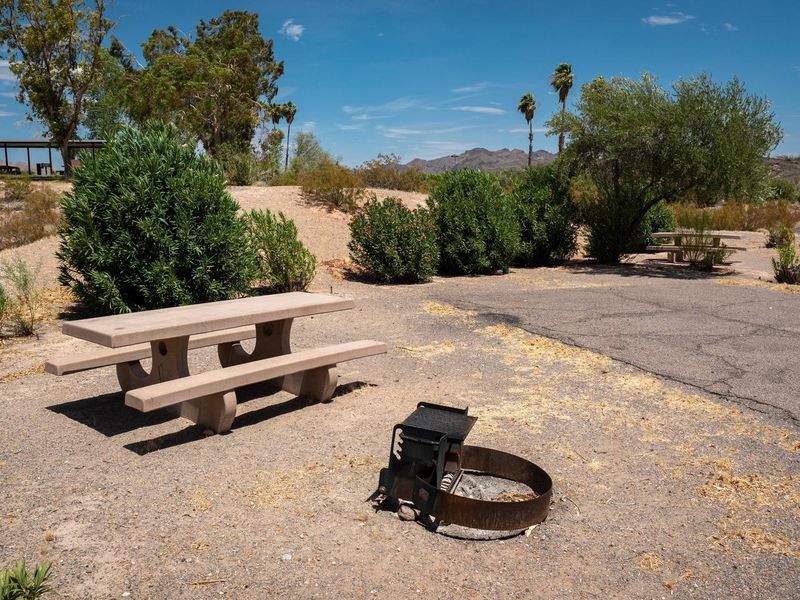 Callville Bay Campground