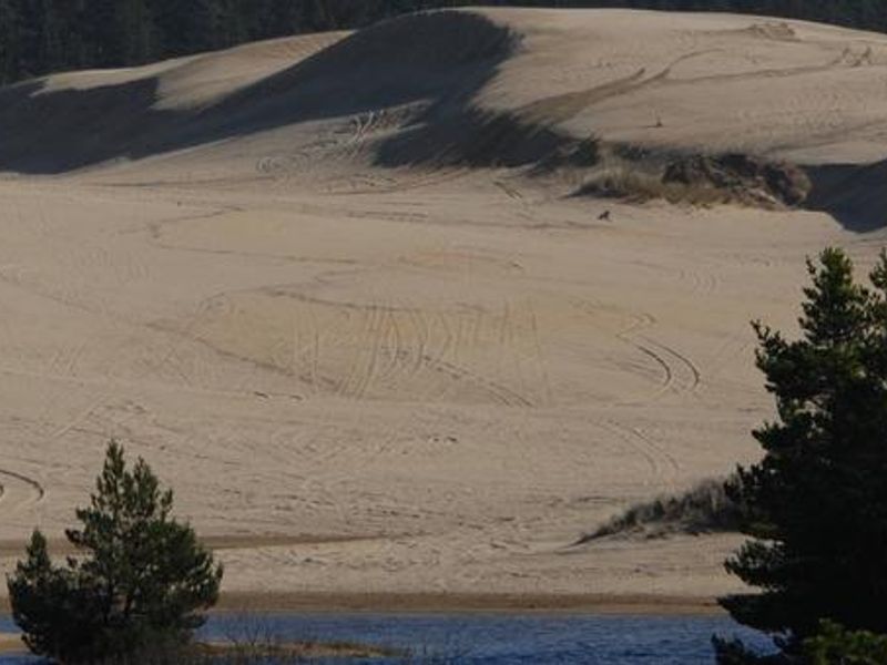 Spinreel Sand Camping